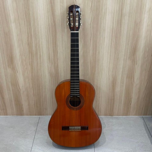 Elite takamine g90 - takamine,