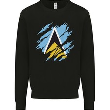Sweat À Capuche Pour Hommes