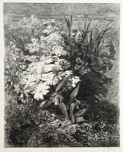 Fleurs prairie gravure eau - prairie,