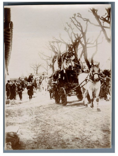 France carnaval chars - carnaval.,