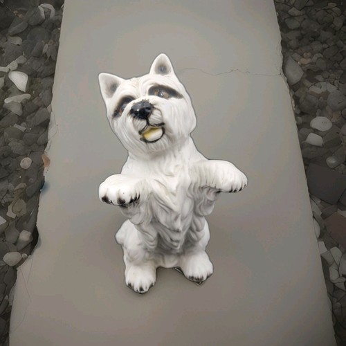 Westie west highland - west,