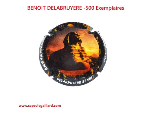 Capsule champagne benoit - capsule,
