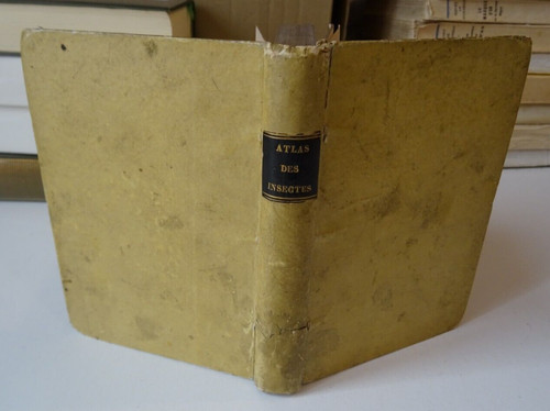 Atlas des insectes - des, 110