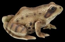 Figurine de Jardin Grenouille – Crapaud Animal – Étang Décorative – Amphibiens–