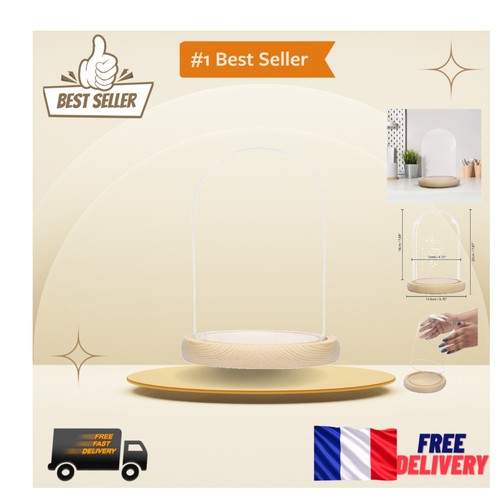 Cloche verre socle - cloche, en