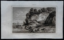 1849 - Castor en milieu