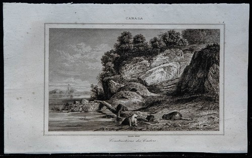 1849 castor en milieu - castor,