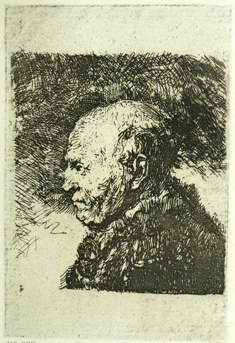 Vieil homme chauve - vieil,