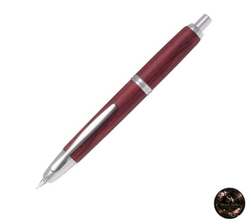 Stylo plume pilot - pilot, capless