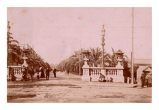 Espagne, parc, palmiers Vintage silver print Tirage argentique  6x9  Circa