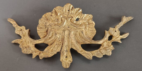 Coquille bronze doré - coquille,
