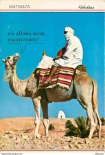 Animaux - Camélidés -