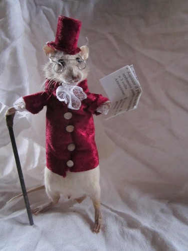 Taxidermie rat mouse lectrice - mouse,