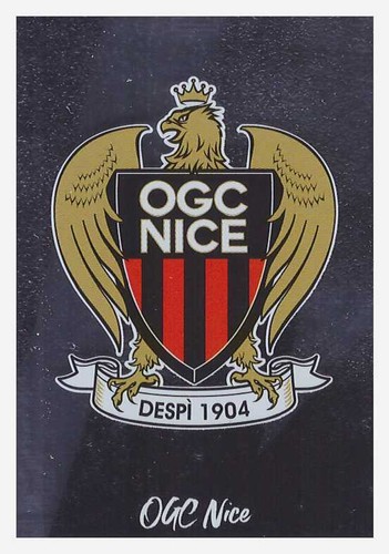 Panini foot 2023 écusson - panini,