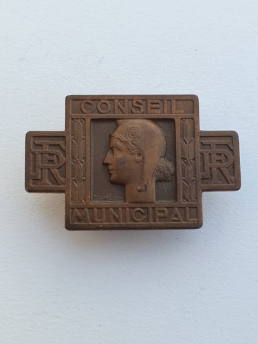 Insigne fonction conseil - insigne, fonction: