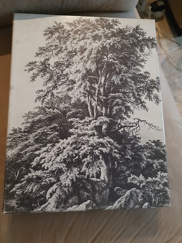 Univers des arbres - des,