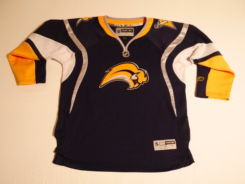 Buffalo sabres 2006 - 2006/07,