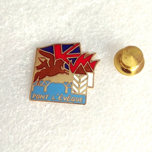 Pin lapel - lapel, pins