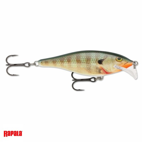 Poisson nageur rapala scatter - poisson,
