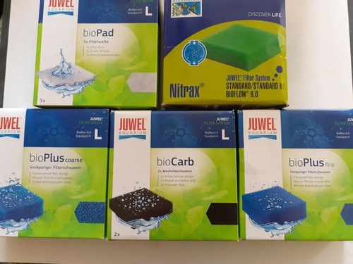Kit standard x5juwel mousse - standard,