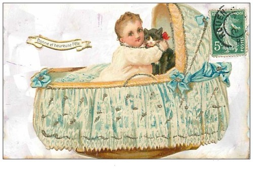 Chats 2638 bebe chat - et,