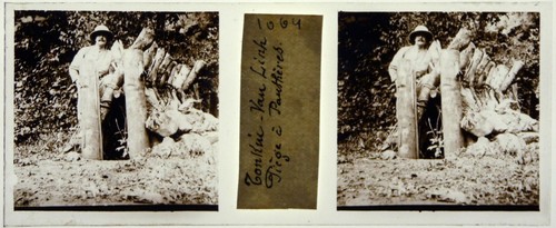 Tonkin.Vietnam.Chasse.Piège