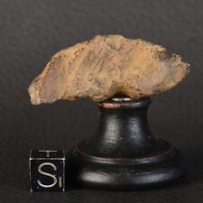 Météorite Gebel Kamil 32,67