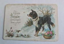 Chromo POULAIN Chien Et Fleurs