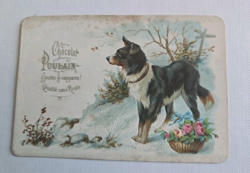 Chromo poulain chien - et, fleurs