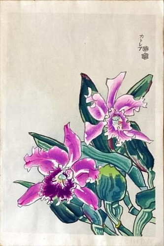 Eiichi kotozuka japanese - eiichi,