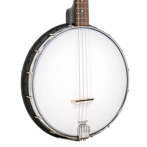 Gold tone acoustic - gold, ac-4t