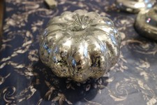 cucurbitacé potiron