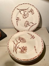 Lot 6 Assiettes plates Sépia