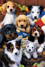 Kits de broderie au point de