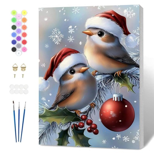 Peinture numero noël adulte - numero,