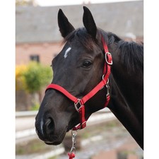 Eldorado Nylon Licol Lea -