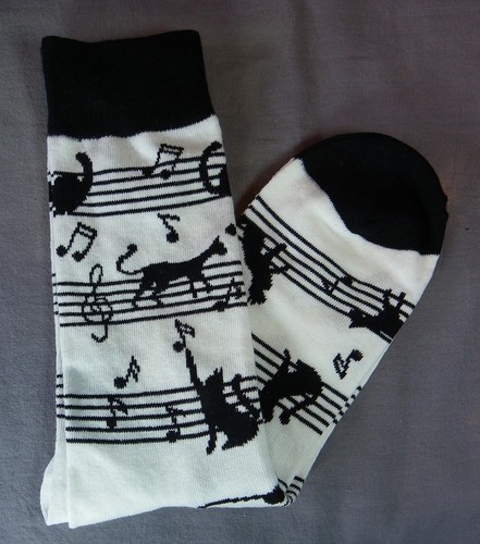 Paire chaussettes chat - chaussettes,