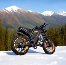 VTT Électrique COSWHEEL GT20