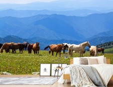 Papier peint animal 3D cheval Prairie A040 peinture murale auto-adhésif amovible Wendy