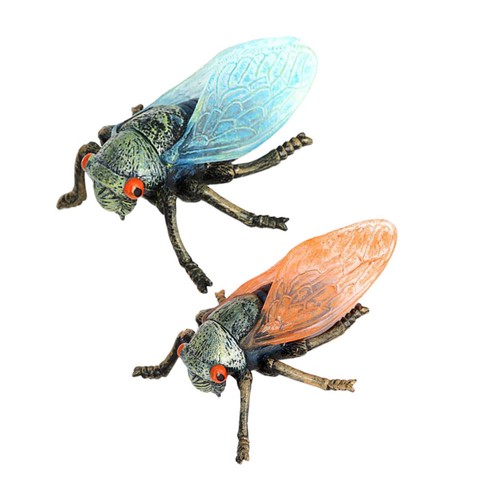 Pcs modèle insecte - modèle, d'insecte