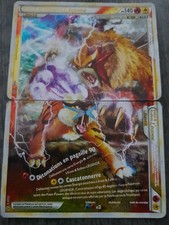 Lot Cartes Pokémon : Entei & Raikou Légende 90/95 + 91/95 Déchaînement Français