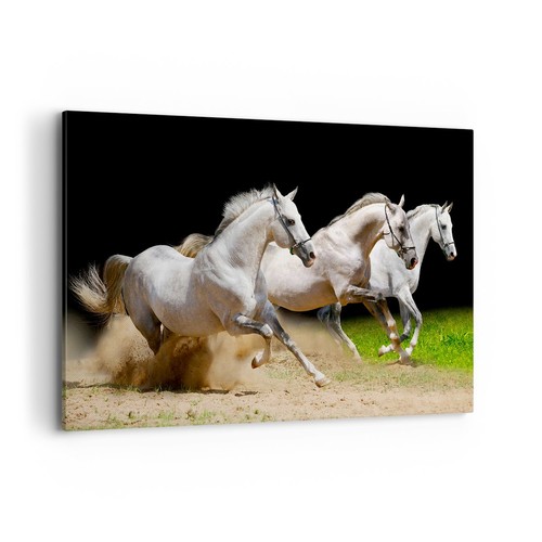 Impression sur toile 120x80cm - sur,