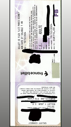 Billet disneyland - 🎟️,