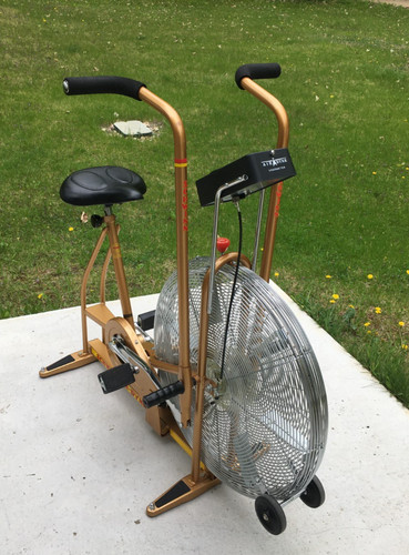 Vintage mcm gold schwinn - **vintage,