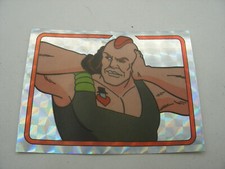 album PANINI immage Vignette