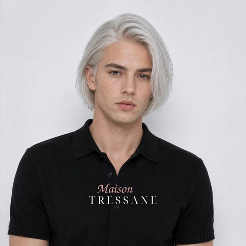 Perruque homme gris argenté