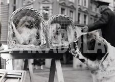 Photo de presse vintage