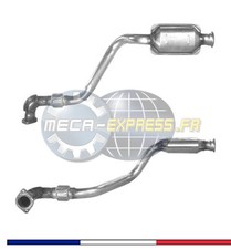 Catalyseur pour RENAULT MASTER