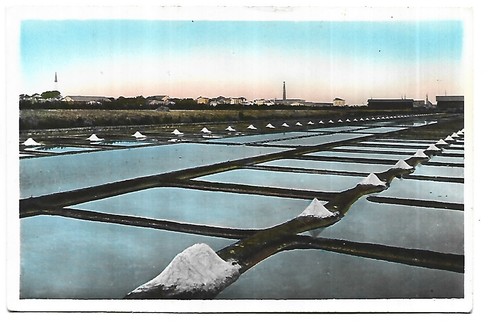 Ile marais salant - 17, de