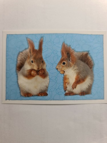 Image sticker autocollant